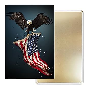 Amazon.co.jp: アメリカ国旗白頭ワシのサイン、星条旗サイン